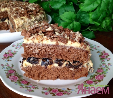 Торт с черносливом и масляным кремом