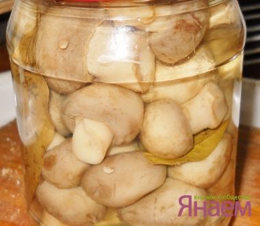 Шампиньоны маринованные