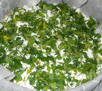 Мясная запеканка с зеленью(Шаг&nbsp;№8)